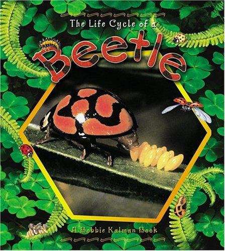 Book cover of The Life Cycle of a Beetle