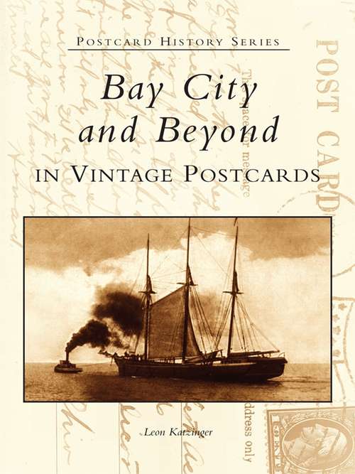 Book cover of Bay City and Beyond in Vintage Postcards