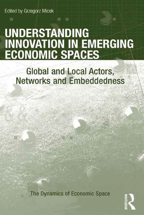 Cover image of Understanding Innovation in Emerging Economic Spaces