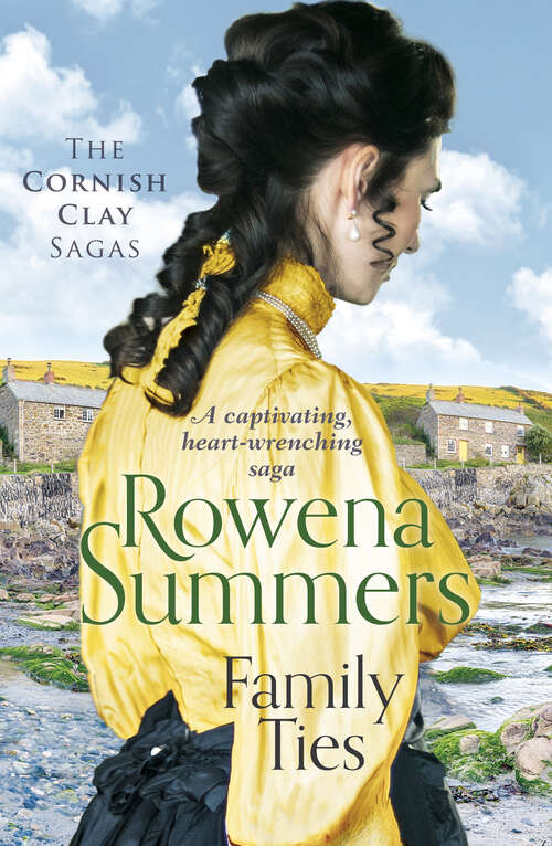 Book cover of Family Ties: A captivating heart-wrenching saga (Cornish Clay Sagas)