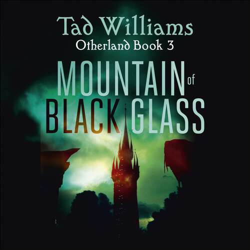 Book cover of Mountain of Black Glass: Otherland Book 3 (Otherland #20)