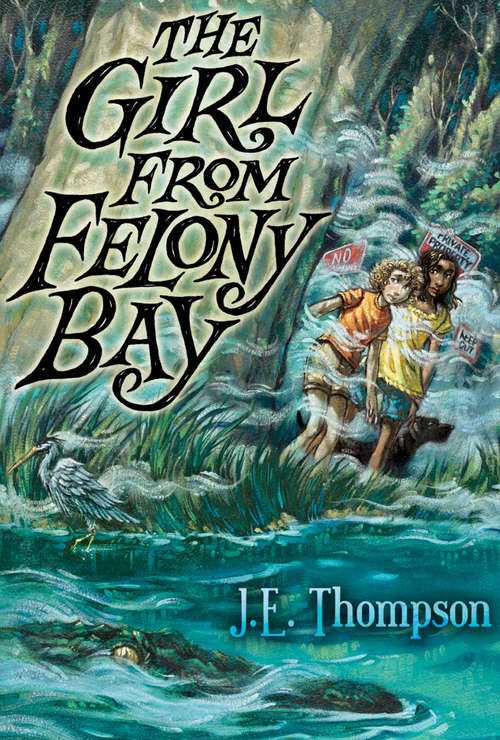 Book cover of The Girl from Felony Bay