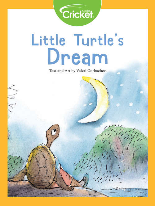 Book cover of Little Turtle's Dream