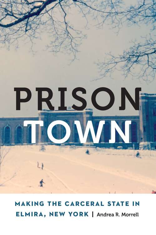 Book cover of Prison Town: Making the Carceral State in Elmira, New York (Anthropology of Contemporary North America)