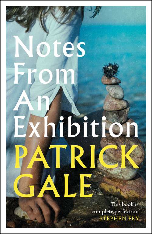 Book cover of Notes from an Exhibition: A Novel
