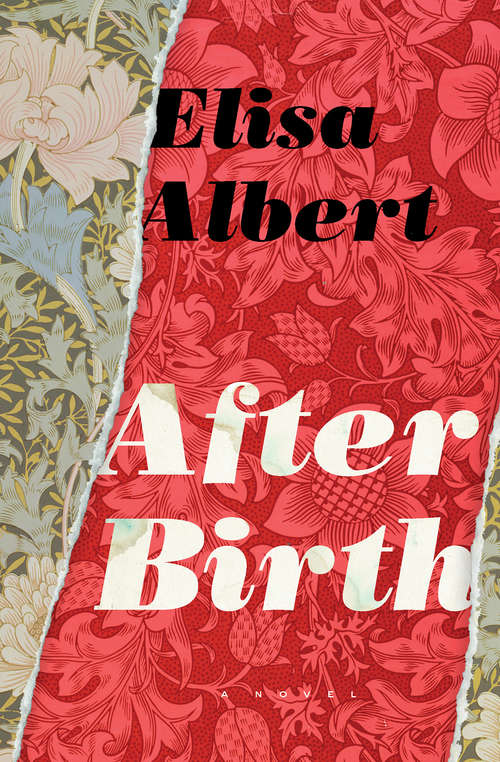 Book cover of After Birth