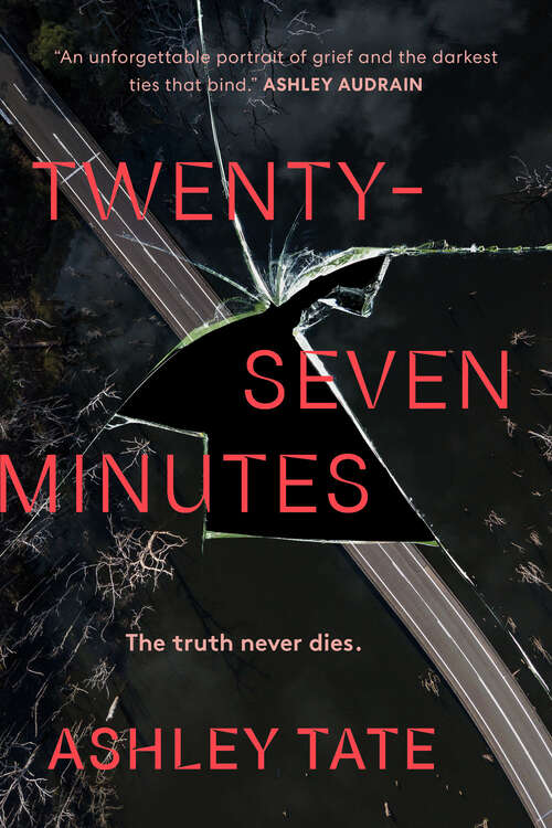 Book cover of Twenty-Seven Minutes: A Novel