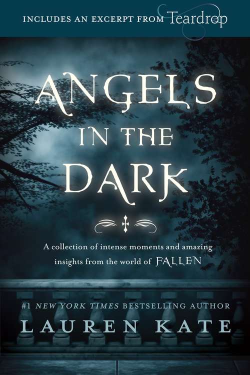 Book cover of Angels in the Dark (Fallen)