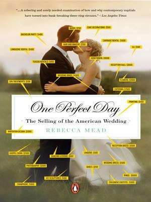 Book cover of One Perfect Day: The Selling of the American Wedding