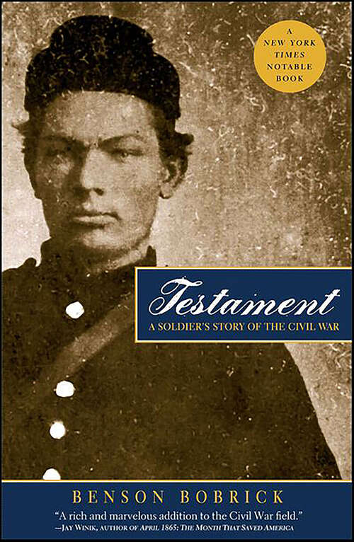 Book cover of Testament: A Soldier's Story of the Civil War