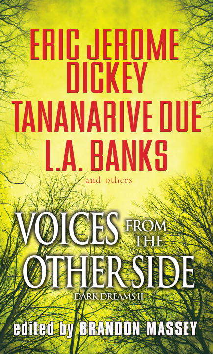 Book cover of Voices From The Other Side