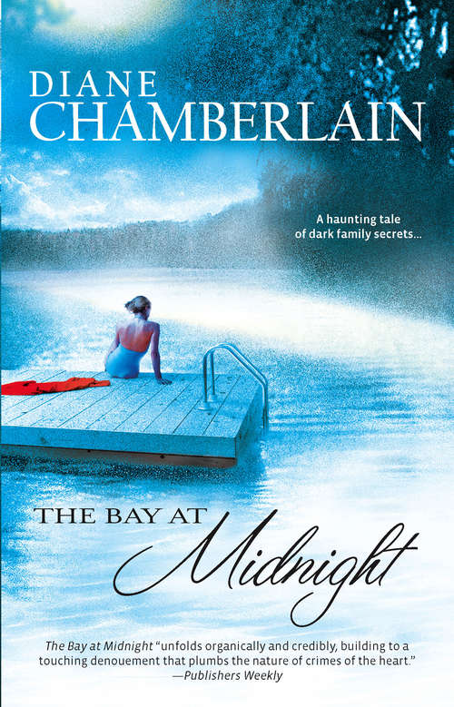 Book cover of The Bay at Midnight