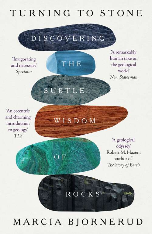 Book cover of Turning to Stone