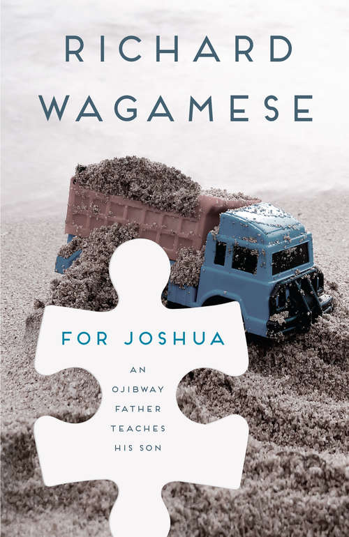 Book cover of For Joshua