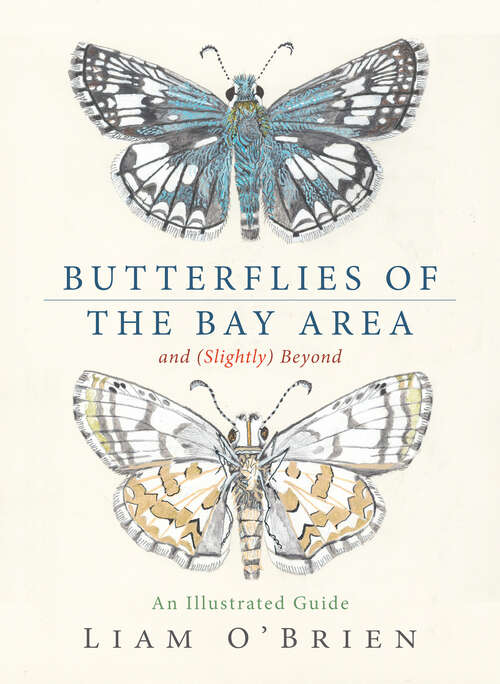 Book cover of Butterflies of the Bay Area and (Slightly) Beyond: An Illustrated Guide