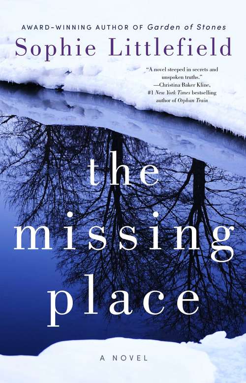 Book cover of The Missing Place