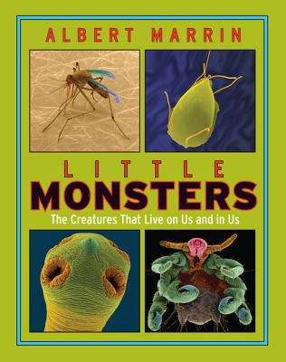 Book cover of Little Monsters: The Creatures that Live on Us and in Us