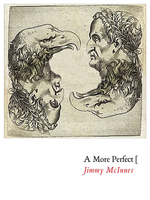 Book cover of A More Perfect [