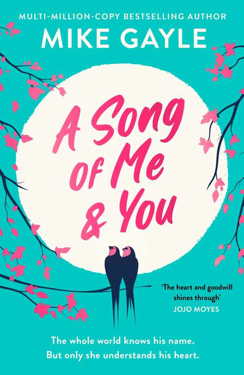 Book cover of A Song of Me and You: everyone knows this rock star's name: only his first love understands his heart