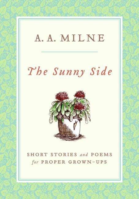 Book cover of The Sunny Side