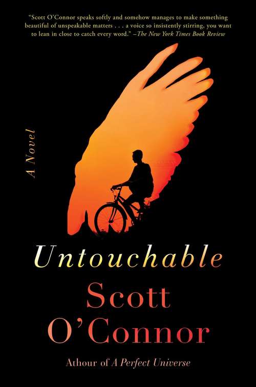 Book cover of Untouchable