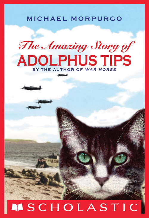 Book cover of The Amazing Story of Adolphus Tips