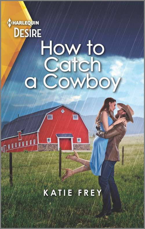 Book cover of How to Catch a Cowboy: A Small Town Western Romance (Original) (Hartmann Heirs #1)
