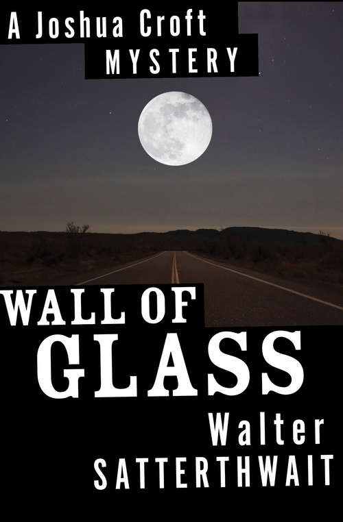 Book cover of Wall of Glass