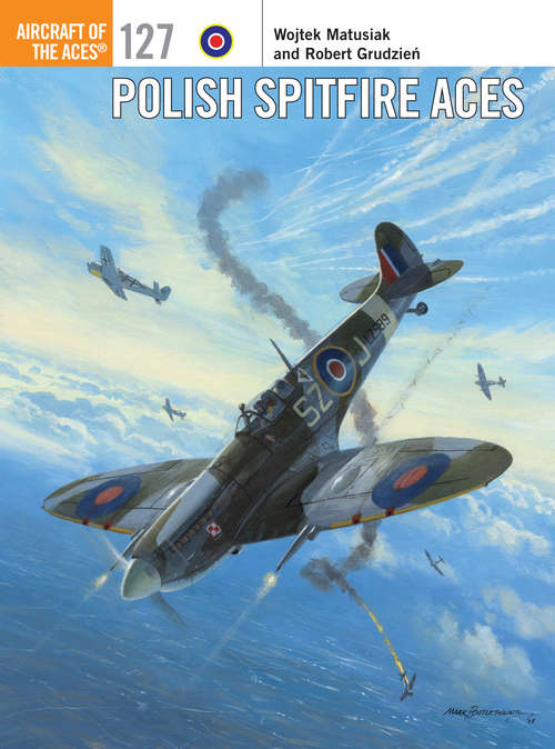 Book cover of Polish Spitfire Aces