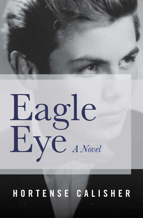 Book cover of Eagle Eye
