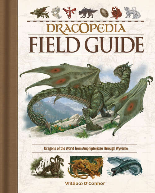 Book cover of Dracopedia Field Guide: Dragons of the World from Amphipteridae through Wyvernae