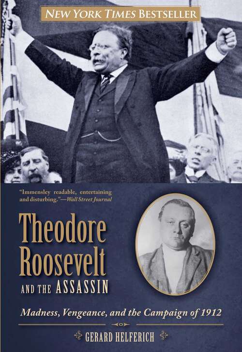 Book cover of Theodore Roosevelt and the Assassin: Madness, Vengeance, and the Campaign of 1912