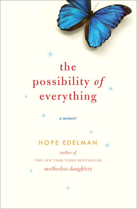 Book cover of The Possibility of Everything: A Memoir