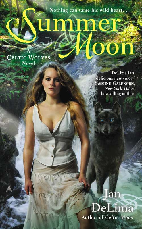 Book cover of Summer Moon