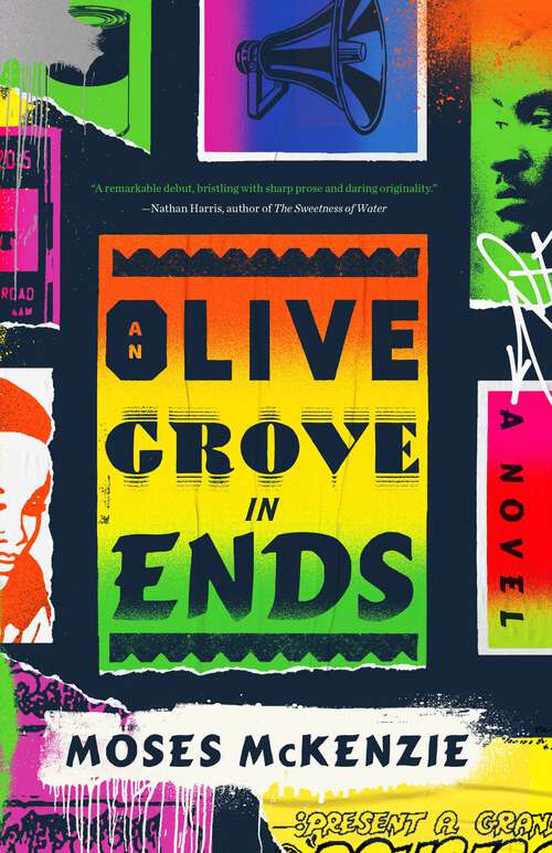 Book cover of An Olive Grove in Ends