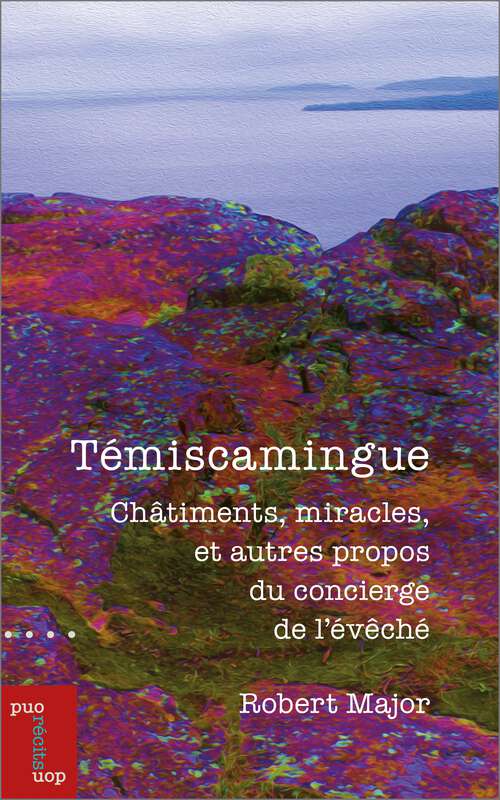 Book cover of Témiscamingue: Châtiments, miracles, et autres propos du concierge de l’évêché (Essais et fiction)
