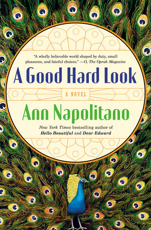 Book cover of A Good Hard Look: A Novel of Flannery O'Connor