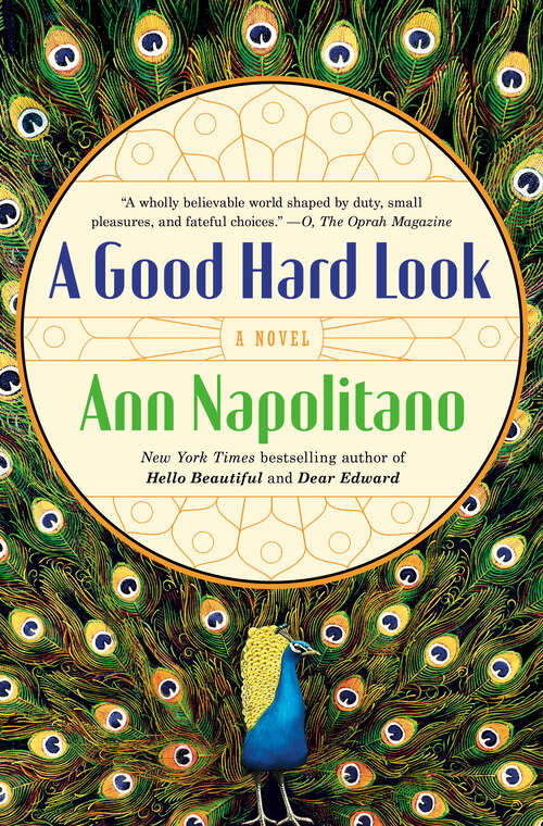 Book cover of A Good Hard Look: A Novel of Flannery O'Connor
