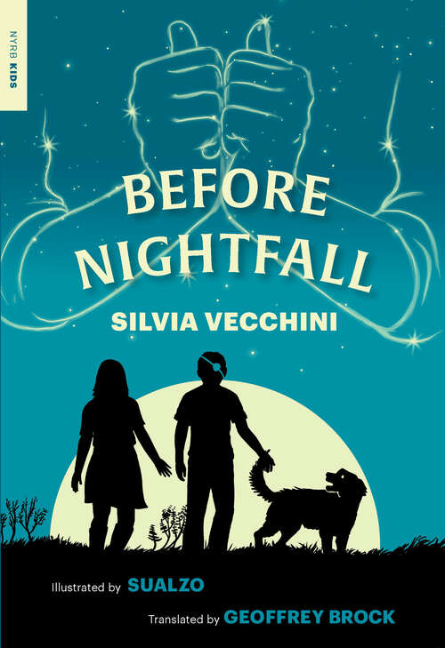Book cover of Before Nightfall