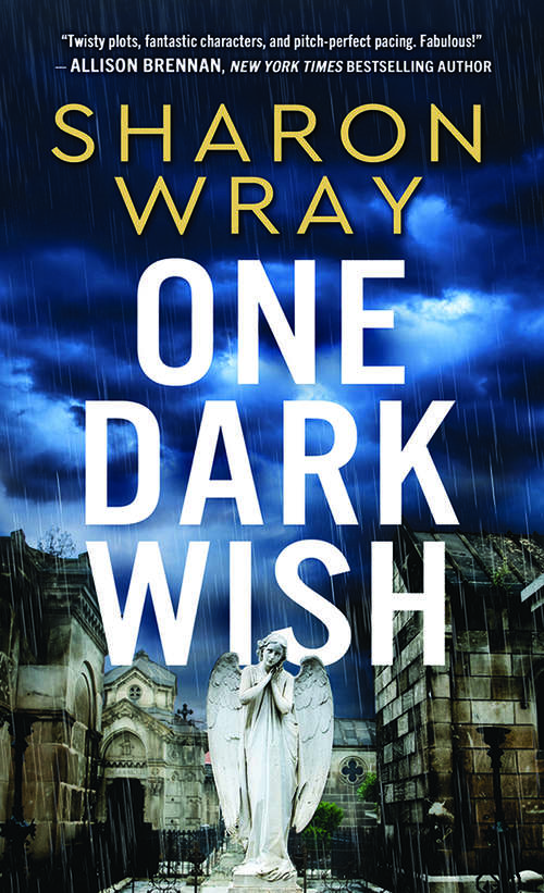 Book cover of One Dark Wish (Deadly Force #2)