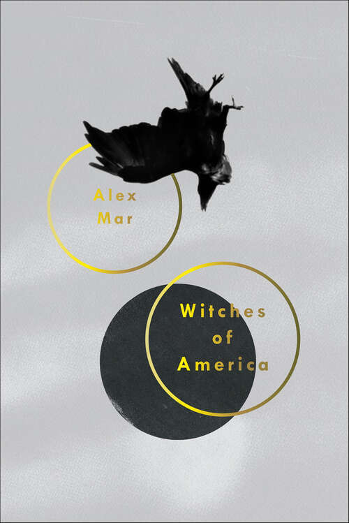 Book cover of Witches of America