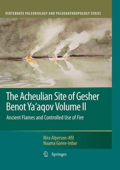 Book cover of The Acheulian Site of Gesher Benot Ya’aqov Volume II
