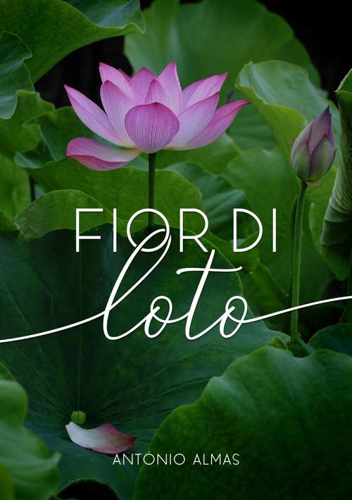 Book cover of Fior di Loto
