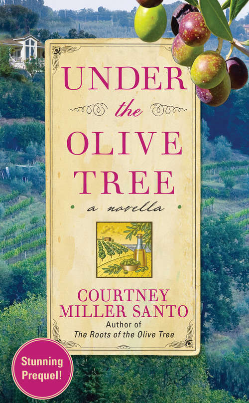 Book cover of Under the Olive Tree