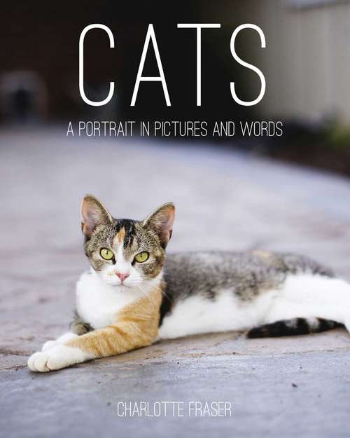 Book cover of Cats