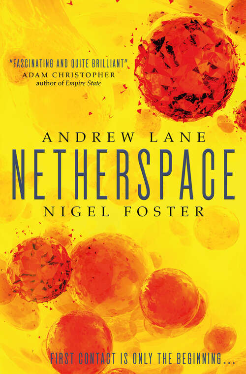 Book cover of Netherspace: Netherspace 1