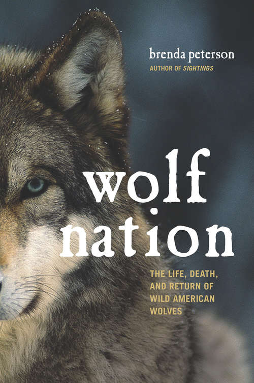 Book cover of Wolf Nation: The Life, Death, and Return of Wild American Wolves (A Merloyd Lawrence Book)
