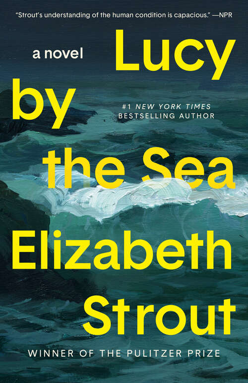 Book cover of Lucy by the Sea
