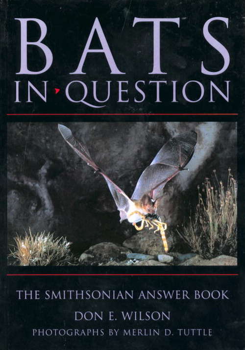 Book cover of Bats in Question