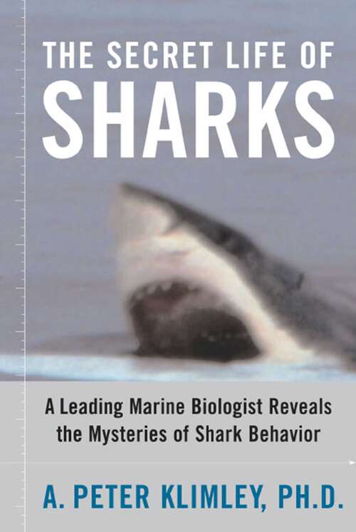 Book cover of The Secret Life of Sharks: A Leading Marine Biologist Reveals the Mysteries of Shark Behavior
